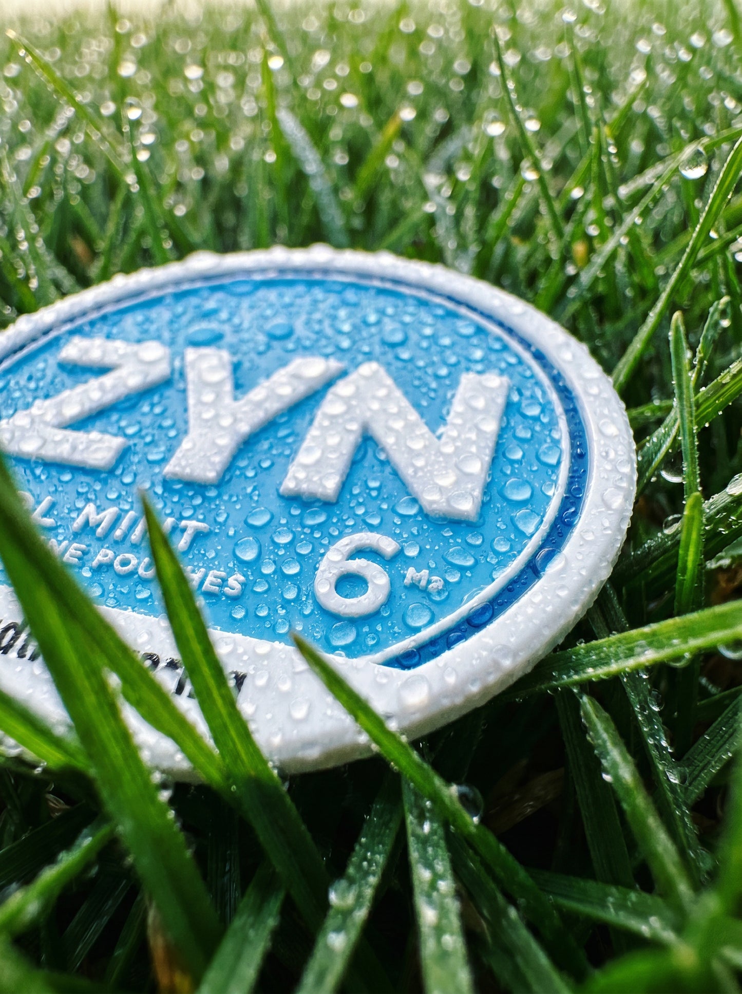 Zyn Golf Ball Marker Set | 3 Piece | Ball Marker + Magnetic Hat Clip